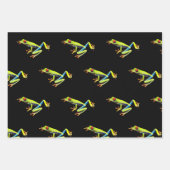 Grenouille à feuilles rouges (Devant)