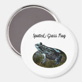 Grenouille à herbe tachetée, aimant (Recto/Verso)