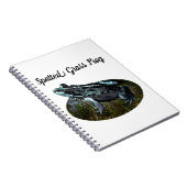 Grenouille à herbe tachetée, Carnet (Côté Droit)