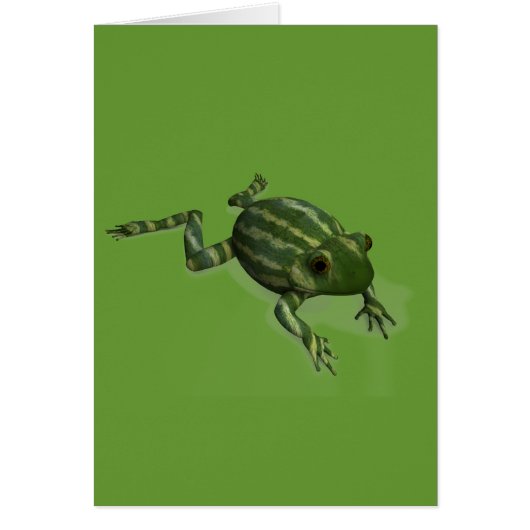 Grenouille à pastèque (Devant)