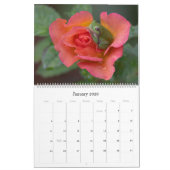Grenouille arborescente 14,25 X 11 Calendrier mura (Jan 2026)