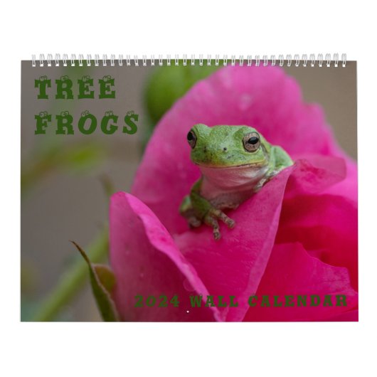 Grenouille arborescente 14,25 X 11 Calendrier mura (Protection)