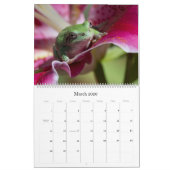 Grenouille arborescente 14,25 X 11 Calendrier mura (Mar 2026)