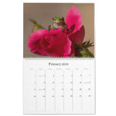 Grenouille arborescente 14,25 X 11 Calendrier mura (Feb 2026)