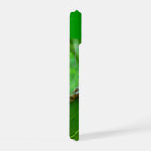 Grenouille arboricole verte (Côté droit)