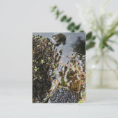 Grenouille avec grenouille Carte de poste de frai (Debout devant)