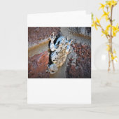 Grenouille, carte (Fleur jaune)