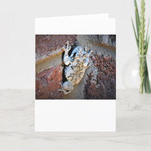 Grenouille, carte