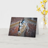 Grenouille, carte (Fleur jaune)