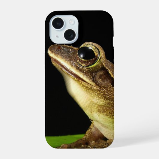Grenouille commune sur une feuille (Verso)