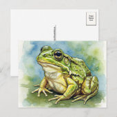 Grenouille dans la carte postale Sunlight pour le (Devant / Derrière)