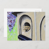 Grenouille dans une carte postale de peinture d'oi (Devant / Derrière)