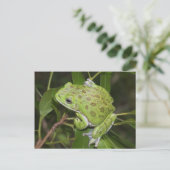 Grenouille d'arbre à aboiements - Carte postale (Debout devant)