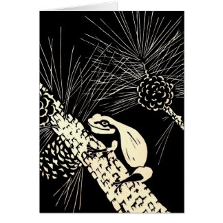 grenouille d'arbre de barrens de pin