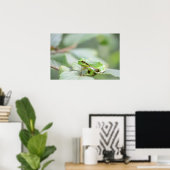 Grenouille d'arbre européenne en affiche verte (Bureau à domicile)
