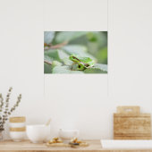 Grenouille d'arbre européenne en affiche verte (Cuisine)