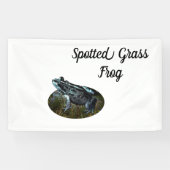Grenouille en herbe tachetée, bannière (Horizontal)