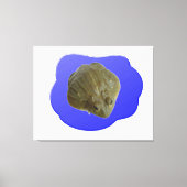 Grenouille en toile d'étang Imprimer (Recto)