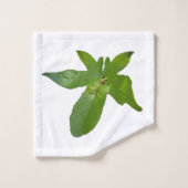 Grenouille Feuille De Raisin Vert, Serviettes De B (Gant de toilette)