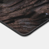 Grenouille mûre (Coin)