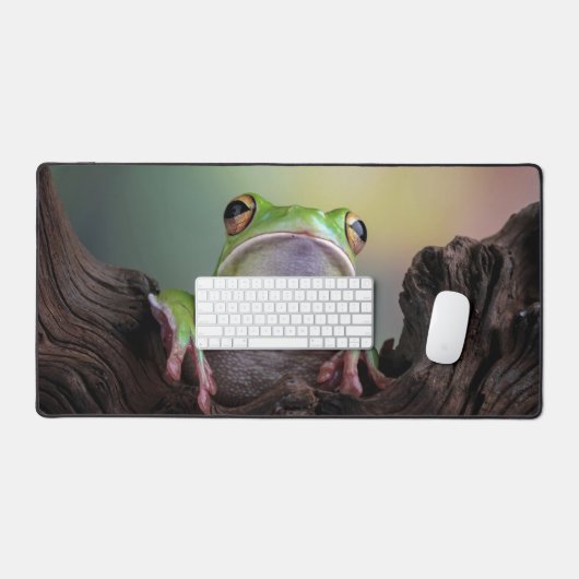 Grenouille mûre (Clavier et souris)