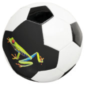 Grenouille peinte aux yeux rouges (3/4)