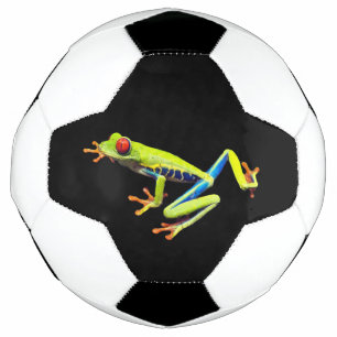 Grenouille peinte aux yeux rouges