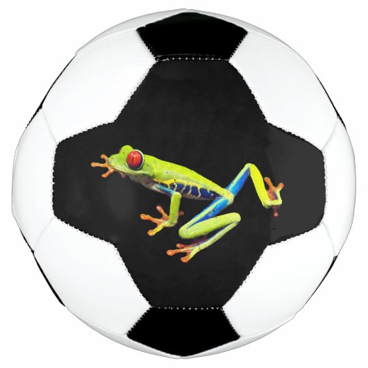 Grenouille peinte aux yeux rouges (Devant)