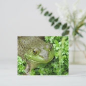 Grenouille sur carte postale Marsh (Debout devant)