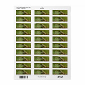 Grenouille sur le journal Étiquettes (Feuille entière)