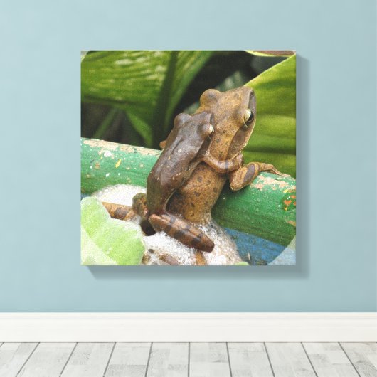 Grenouille sur toile arrière Impression (Insitu (Plancher de Bois))