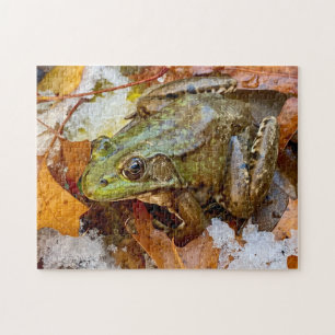 Grenouille-taureau américaine au puzzle de neige