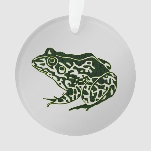 Grenouille verte (devant)
