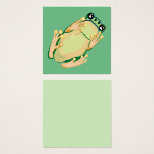 Grenouille verte