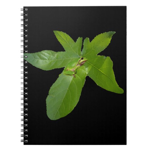 Grenouille verte à feuilles de raisin, Carnet (Devant)