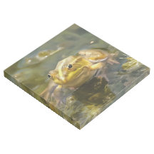 Grenouille Verte Dans La Peinture Acrylique À Eau 