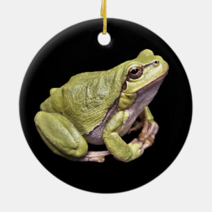 Grenouille zen Pale Green Treefrog Ornement noir