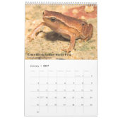 Grenouilles de Singapour Calendrier 2017 (Jan 2027)