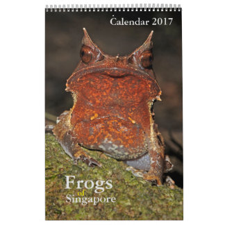 Grenouilles de Singapour Calendrier 2017