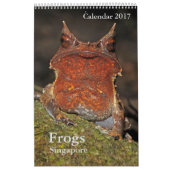 Grenouilles de Singapour Calendrier 2017 (Protection)