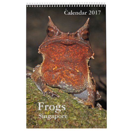 Grenouilles de Singapour Calendrier 2017 (Protection)