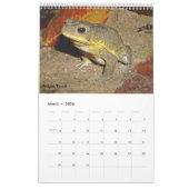 Grenouilles de Singapour Calendrier 2017 (Mar 2026)