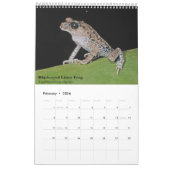 Grenouilles de Singapour Calendrier 2017 (Feb 2026)