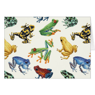 Grenouilles sur blanc naturel