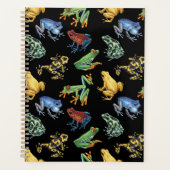 Grenouilles sur noir (Devant)