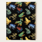 Grenouilles sur noir (Dos)