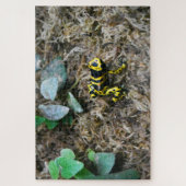 Grenouilles tropicales. Puzzle (Vertical)