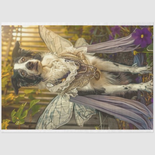 Grens Collie Angel Celestial Decoupage Tissuepapier (Voorkant)