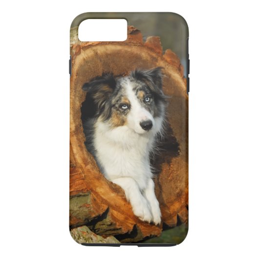 Grens Collie Blue Merle Dog, celfonecase Case-Mate iPhone Case (Achterkant)