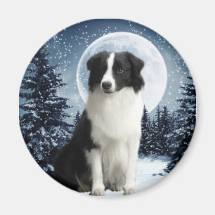 Grens Collie & Moon Magnet Magneet